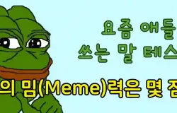 나의 밈력은 몇 점? 요즘 애들이 쓰는 말 테스트